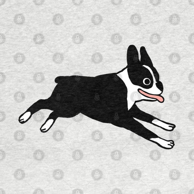 Boston Terrier | Cute Black and White Cartoon Dog by Coffee Squirrel